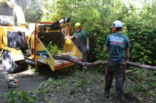 tree services Gilmore City